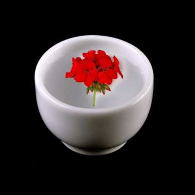 Esenciálny olej, Rose Geranium, 1 l