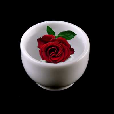 Kvetinová voda, hydrolát, Ruža damascénska, BIO, 1 l