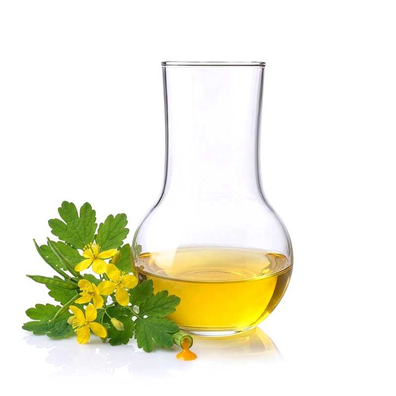 Aktívny lipoextrakt z lastovičníka väčšieho, 500 ml