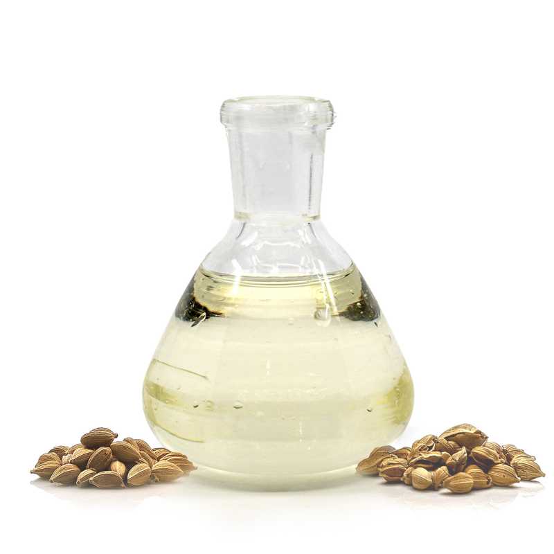 Arganový olej, LZS, jemne pražený, BIO,  500 ml