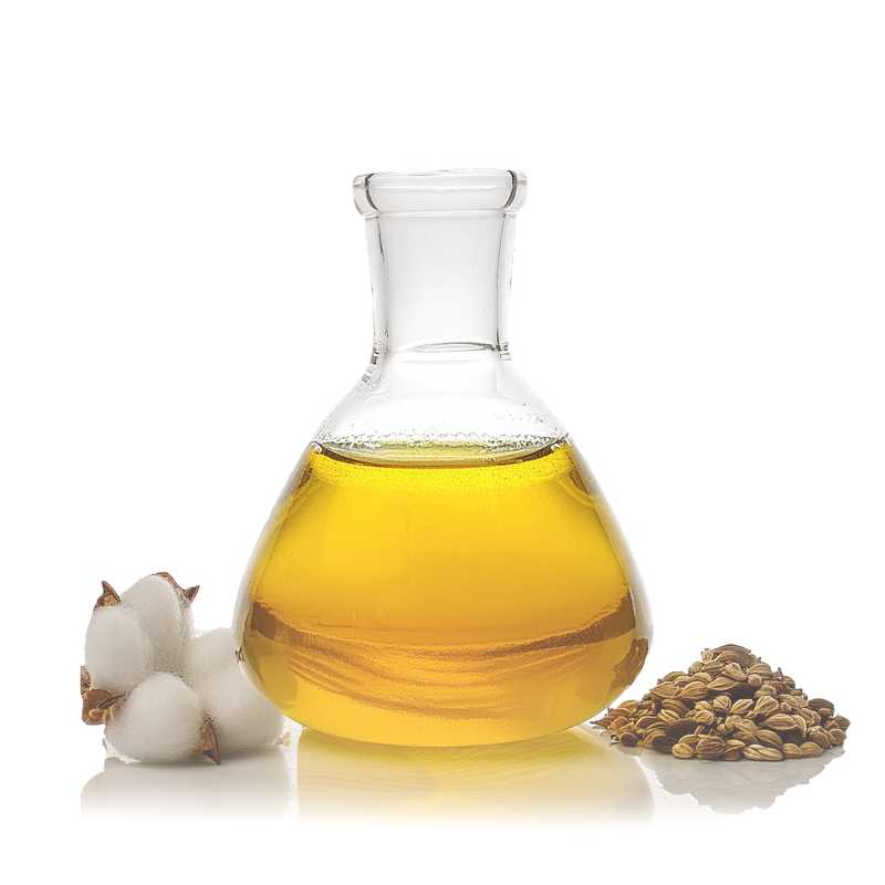 Bavlníkový olej (Cotton Seed Oil) sa získava lisovaním semien rastliny bavlníka - Gossypium herbaceum. Semená sú vedľajším produktom pri výrobe bavln