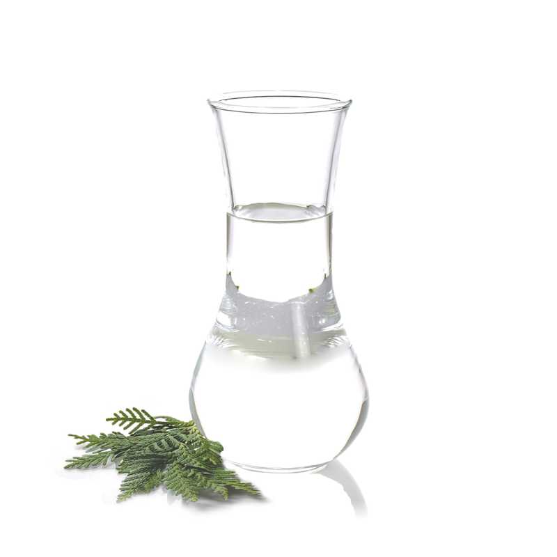 Esenciálny olej, Thuja Orientalis, 500 ml