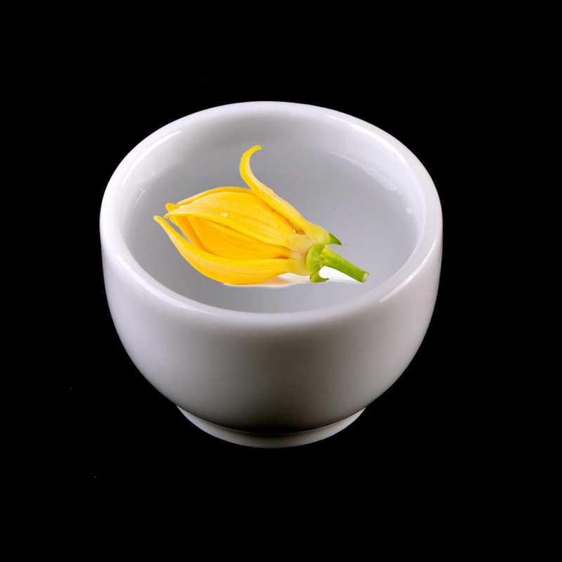Esenciálny olej, Ylang-Ylang III,  Ylang-ylang, známa aj pod názvom kananga voňavá alebo aj cananga odorata, je exotická kvetina krásnej intenzívnej vô