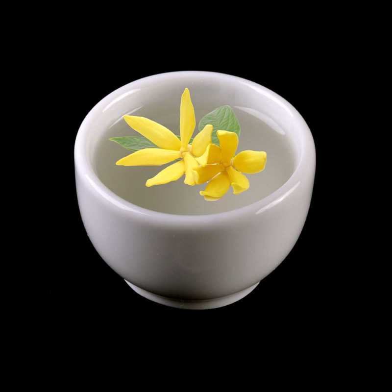 Sladká a omamná vôňa Ylang Ylang upokojuje a lieči. Je to zmyselná, kvetinová vôňa doplnená o tóny fialky a ruže, založená na pižmovom základe. 