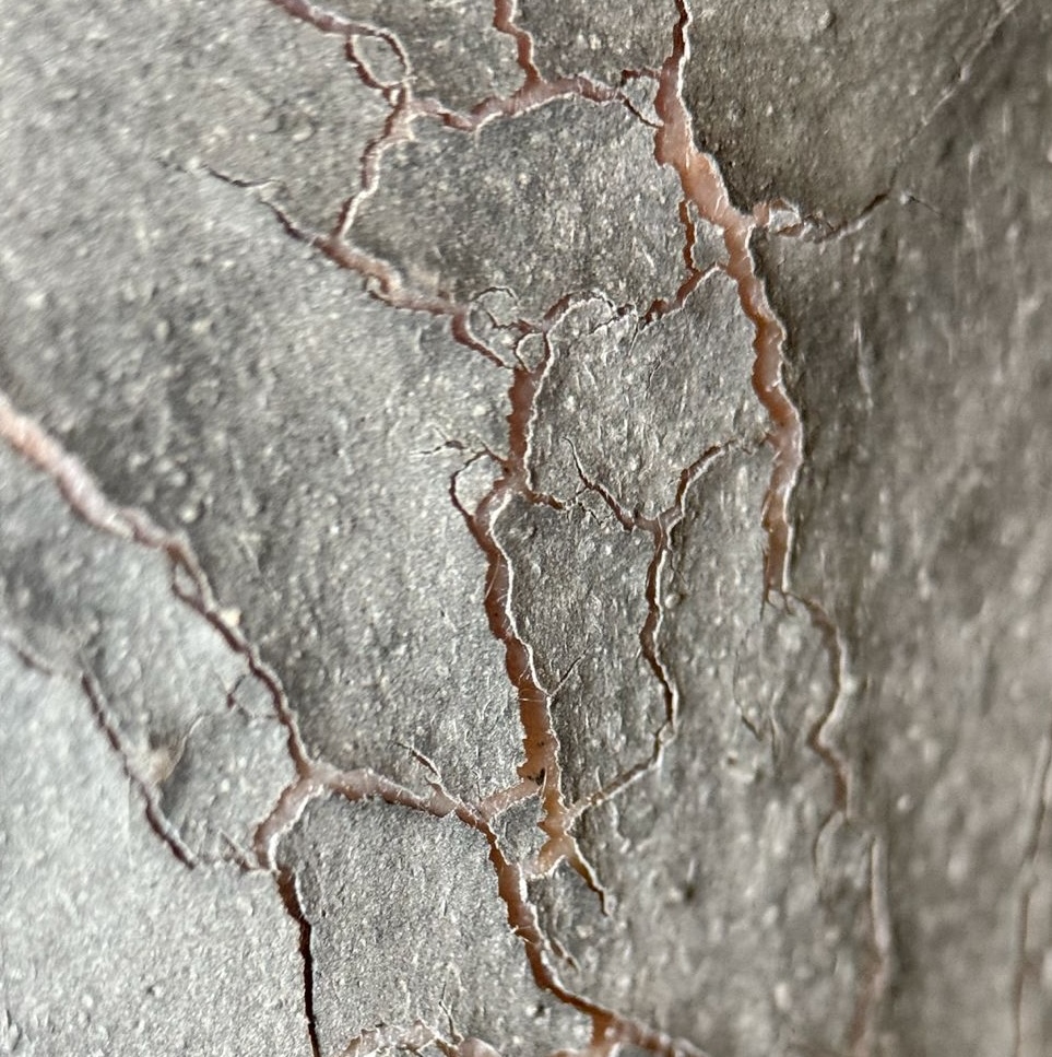 Ílová pleťová maska z kaolínu a minerálnych ílov