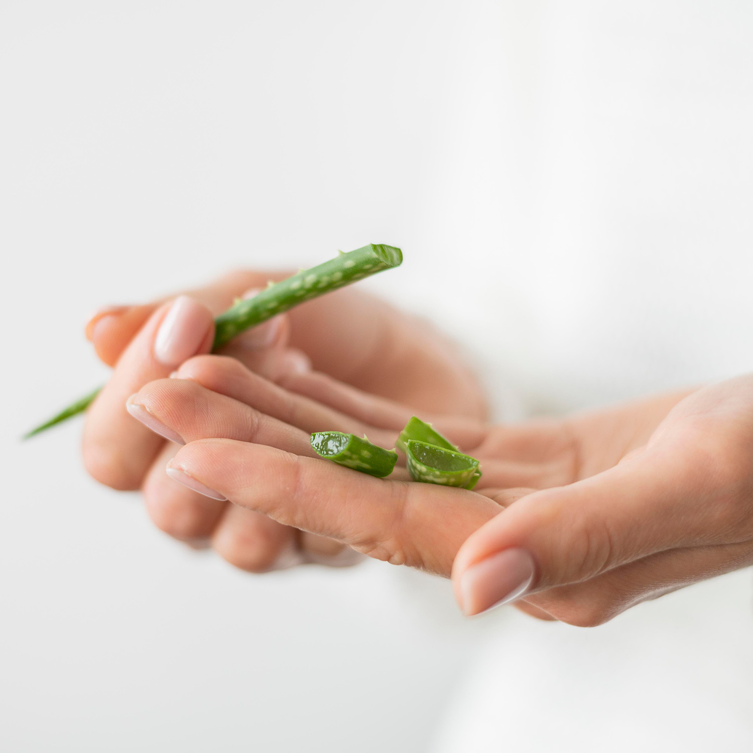 žena ma na rukach kúsky z listu rastliny Aloe Vera. Za ženou je biele pozadie.